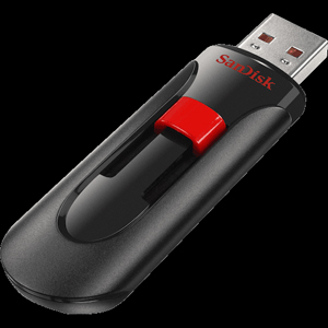 SanDisk SDCZ600-064G-G35